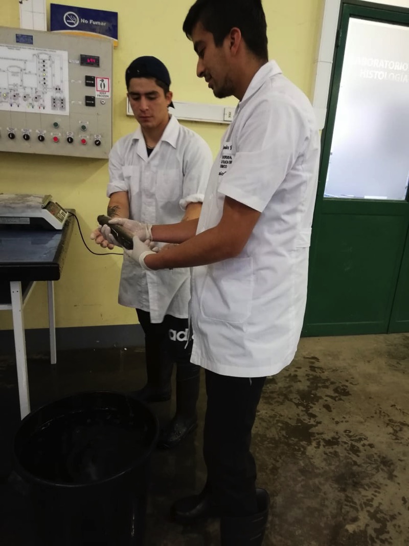 8 Medicion peso TAI.jpg